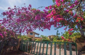 Uma área residencial com um portão verde, um muro de pedra e um edifício com uma pequena janela.