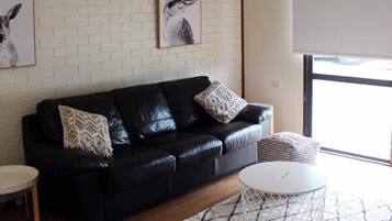 TV connectée, cheminée, lecteur de DVD, livres