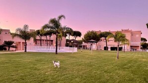 A grassy area with a small dog, surrounded by trees and buildings. - IN THE QUIET AREA OF NOVO SANCTI PETRI (Chiclana de la Frontera)