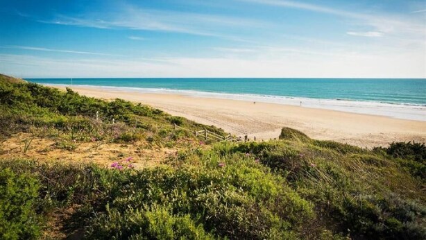 A beach with a clear sky, sandy shore, and green vegetation. - IN THE QUIET AREA OF NOVO SANCTI PETRI (Chiclana de la Frontera)