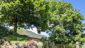 A garden with a stone staircase, a metal gate, and a large tree.