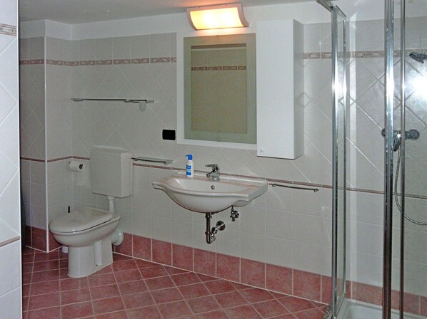 Shower, hair dryer, bidet, towels