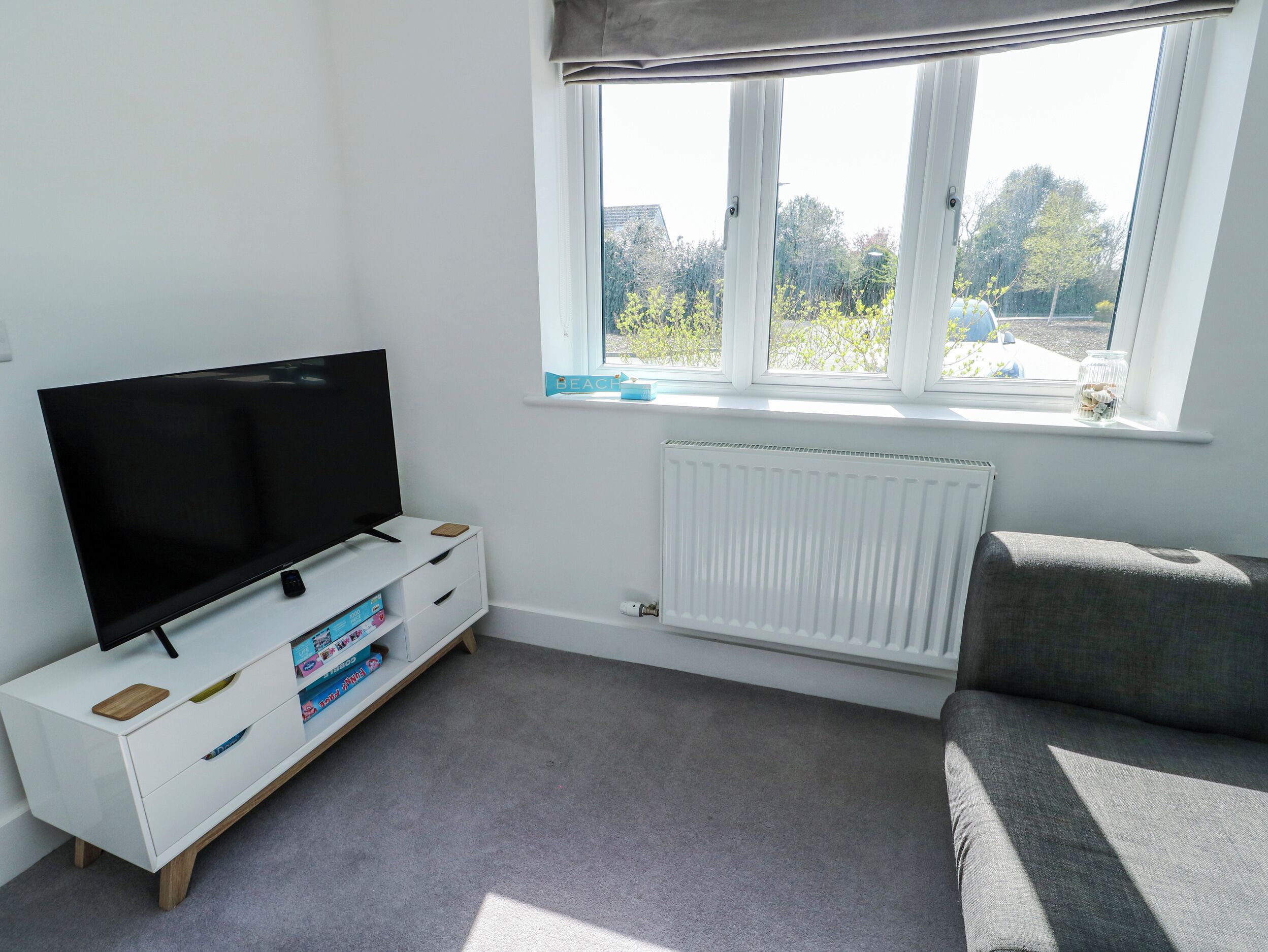 Une pièce avec un téléviseur posé sur un meuble blanc, une fenêtre donnant sur un paysage verdoyant, un radiateur et un canapé gris.