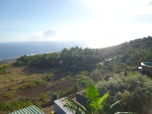 Property grounds - Studio Indépendant Terrasse et Kitchenette (Piton Saint-Leu)