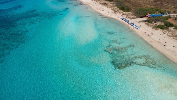 An aerial view of a beach with clear turquoise waters, a sandy shore, and a row of blue umbrellas.