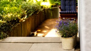 A concrete pathway leading to a wooden fence with a potted plant with purple flowers. - Souterrainwohnung mit Großem Garten (Kassel)