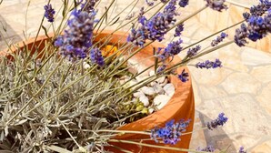 Una terraza con macetas de lavanda y un banco de piedra.