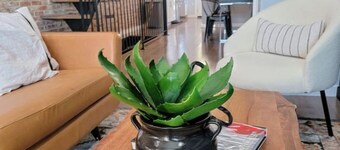 Near JHU & Downtown - Luxury Modern 4bd/3.5bath Rowhome w/ Outdoor Lounge 