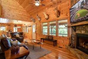 TV, fireplace