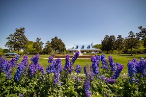 Áreas de la propiedad