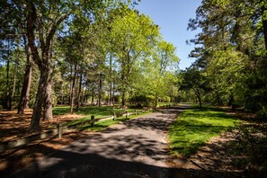 A paved pathway through a park with tall trees and grassy areas. - TB 66A Three Bedroom/Two Bath unit in True Blue (Pawleys island)