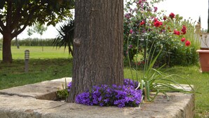 A tree with purple flowers at its base, a stone bench, and a garden with red flowers in the background. - Bio Resort Mediterraneo (Sant Martí Sarroca)