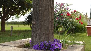 Terrein van de accommodatie