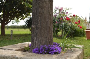 Terrein van de accommodatie