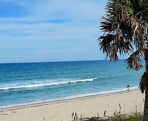 Playa en los alrededores, camastros y toallas de playa 
