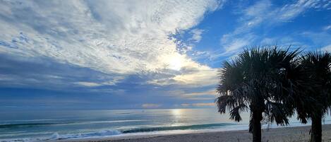 Playa en los alrededores, camastros y toallas de playa
