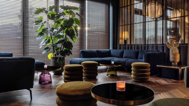Ein modernes Wohnzimmer mit einem blauen Sofa, runden Couchtischen und einer großen Pflanze.