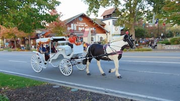 Àrea exterior de l'allotjament