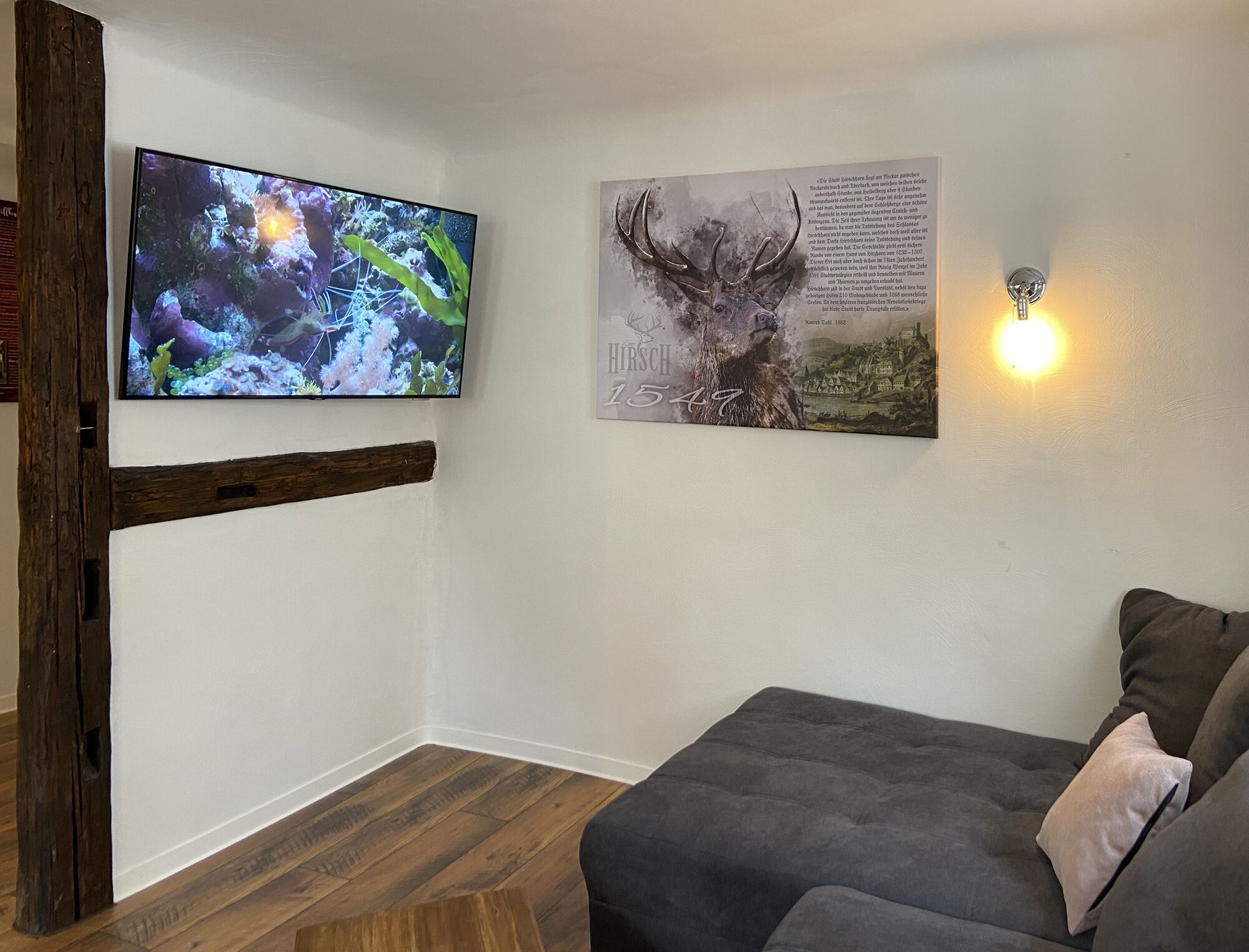 Fernseher