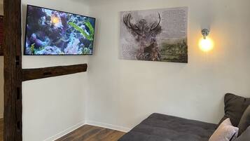 Fernseher