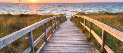 بالقرب من الشاطئ