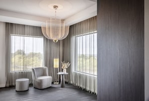 总统套房, 1 张特大床 | 客房景观