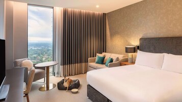 エジプト綿のシーツ、高級寝具、羽毛の掛け布団、セーフティボックス (室内)