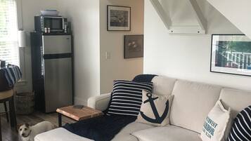 Smart TV, DVD player, books, video library