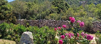 Villa Pantaleo Design e Comfort in Campagna Chic