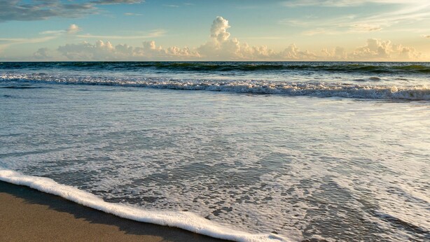 A beach with waves gently lapping at the shore. - Direct Ocean- Wrap Around Balcony (Indialantic)