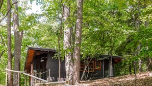 A stone staircase leading to a cabin surrounded by trees. - Treetop Studio on the Dune / Outdoor Shower + Hot Tub / Glamping (Saugatuck)