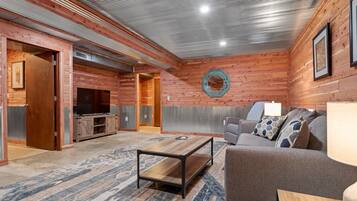 TV connectée, cheminée, lecteur de DVD, livres