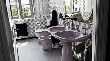 Combined shower/tub, hair dryer, bidet, towels