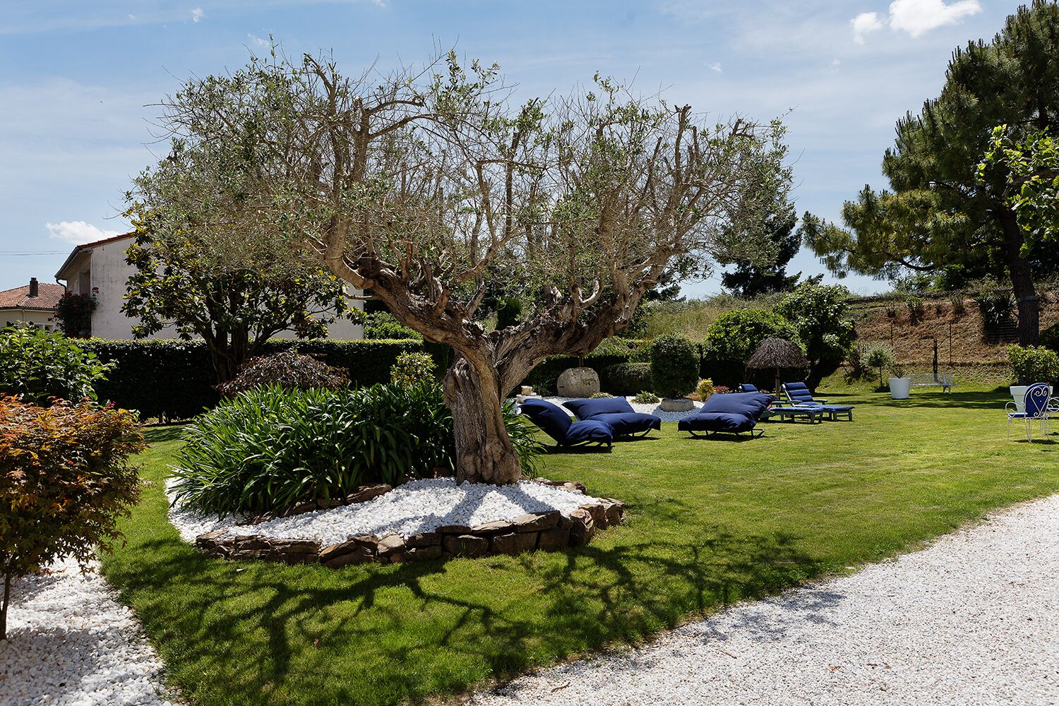 Parco della struttura