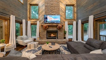 Smart-TV, Kamin