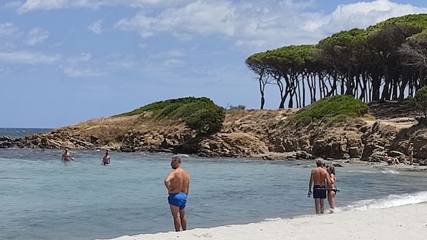 Uma praia com céu claro e terreno rochoso.