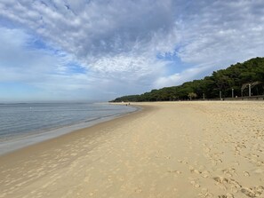 Beach nearby - 2 bedrooms, 2 bathrooms appartement with terrace and balcony, close to beaches (Arcachon)