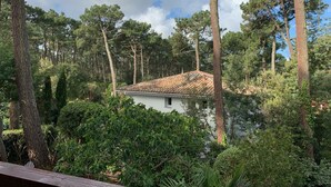 A house surrounded by tall pine trees and dense shrubbery. - 2 bedrooms, 2 bathrooms appartement with terrace and balcony, close to beaches (Arcachon)