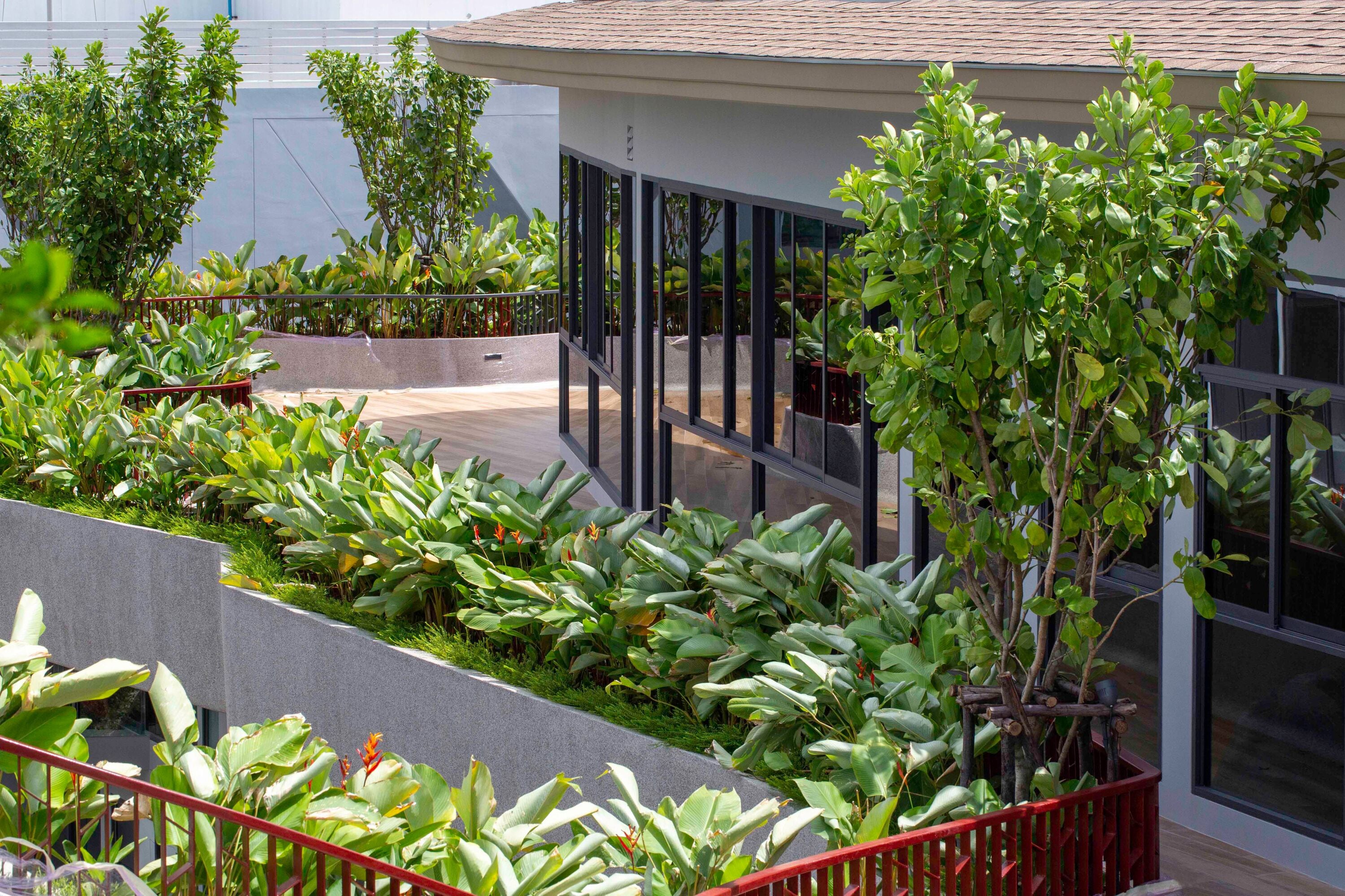 A rooftop garden with various plants and a modern building with large windows.