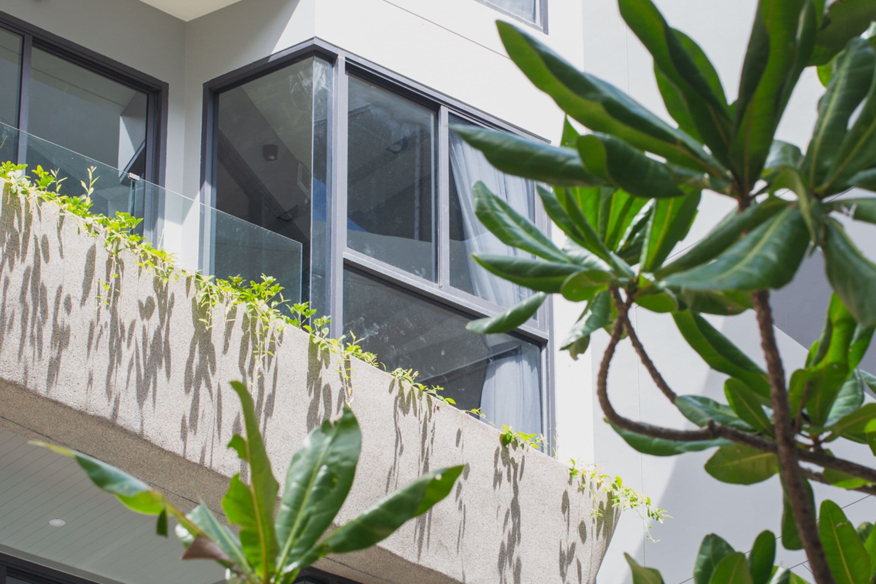 A modern building with large windows and a concrete balcony with green plants.