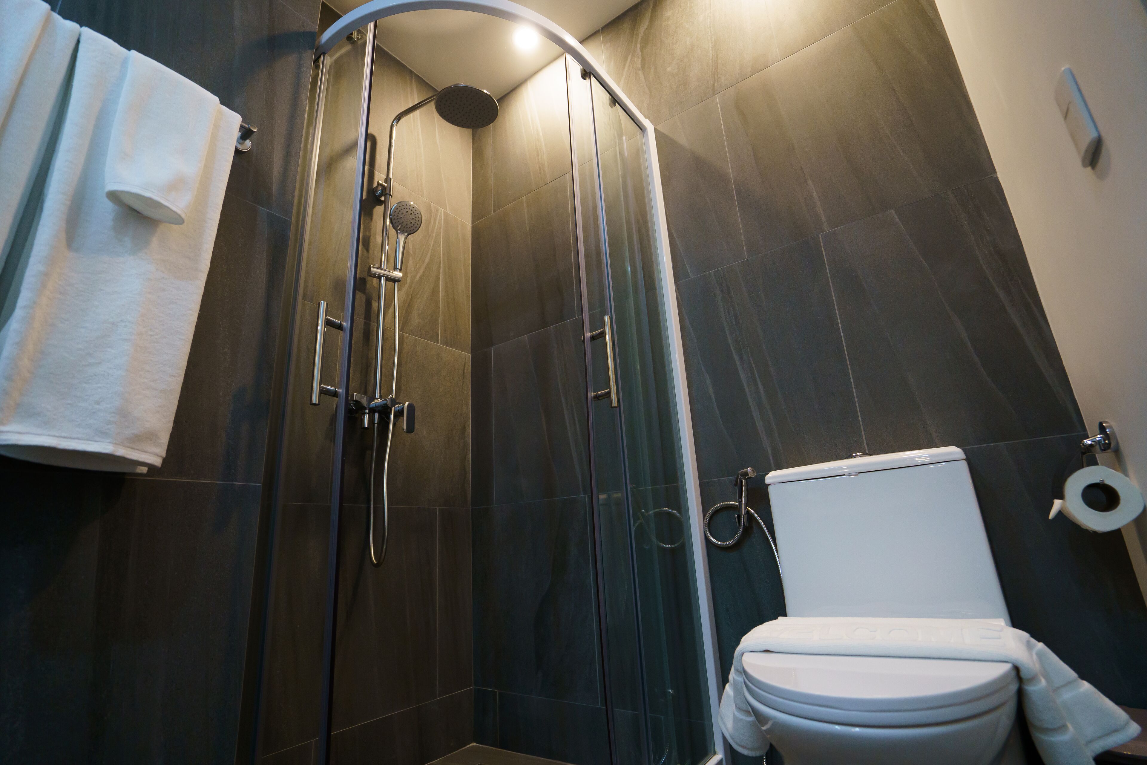 A modern bathroom with a glass-enclosed shower, a toilet, and a towel rack.
