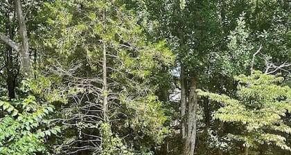 Beautiful lake house perfect for amazing getaways!