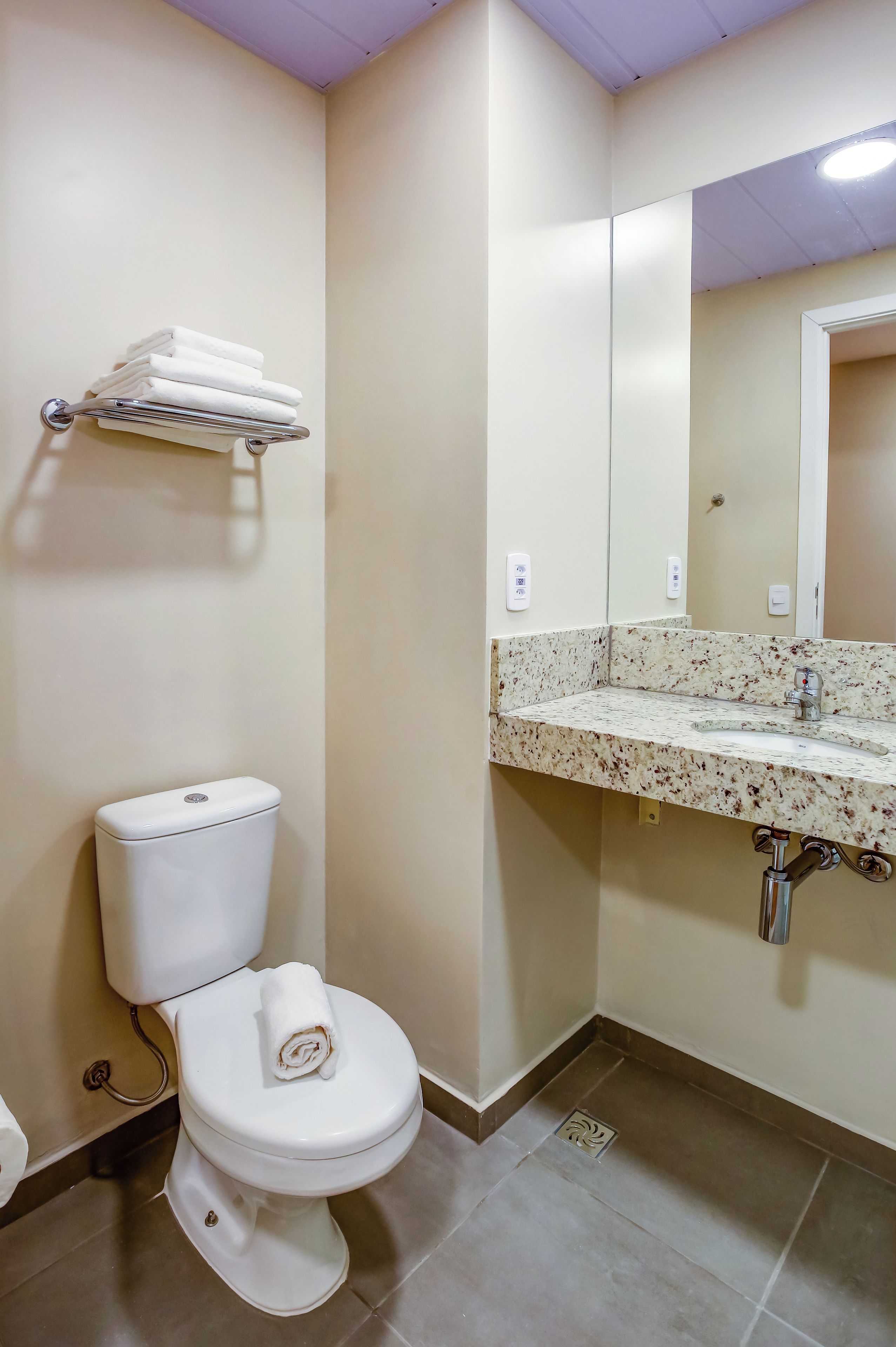 Een badkamer met toilet, wastafel en handdoekhouder.