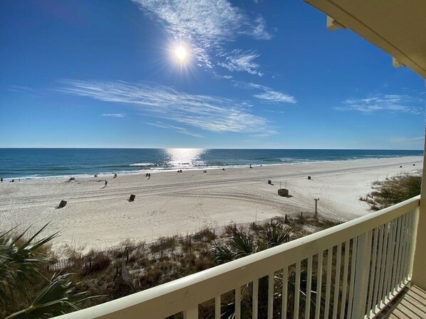 On the beach - Celadon #207 - 1 BR 2 BA + Hall Bunks (Panama City Beach)