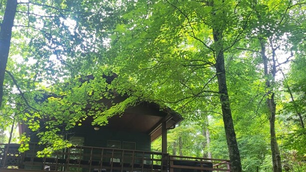 Une terrasse dotée de quatre chaises Adirondack bleues et d’un foyer entouré de gravier, offrant une vue sur une zone boisée avec un chalet en arrière-plan.