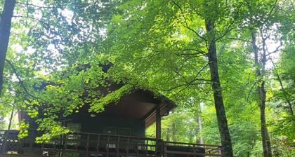 Log Cabin 6 with Hot Tub at Osborn Ramp on Patoka Lake