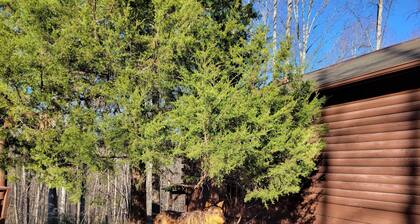Log Cabin 7 with Hot Tub at Osborn Boat Ramp at Patoka Lake