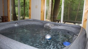A hot tub with a view of a forest through large windows. - Log Cabin 7 with Hot Tub at Osborn Boat Ramp at Patoka Lake (Jackson Township)