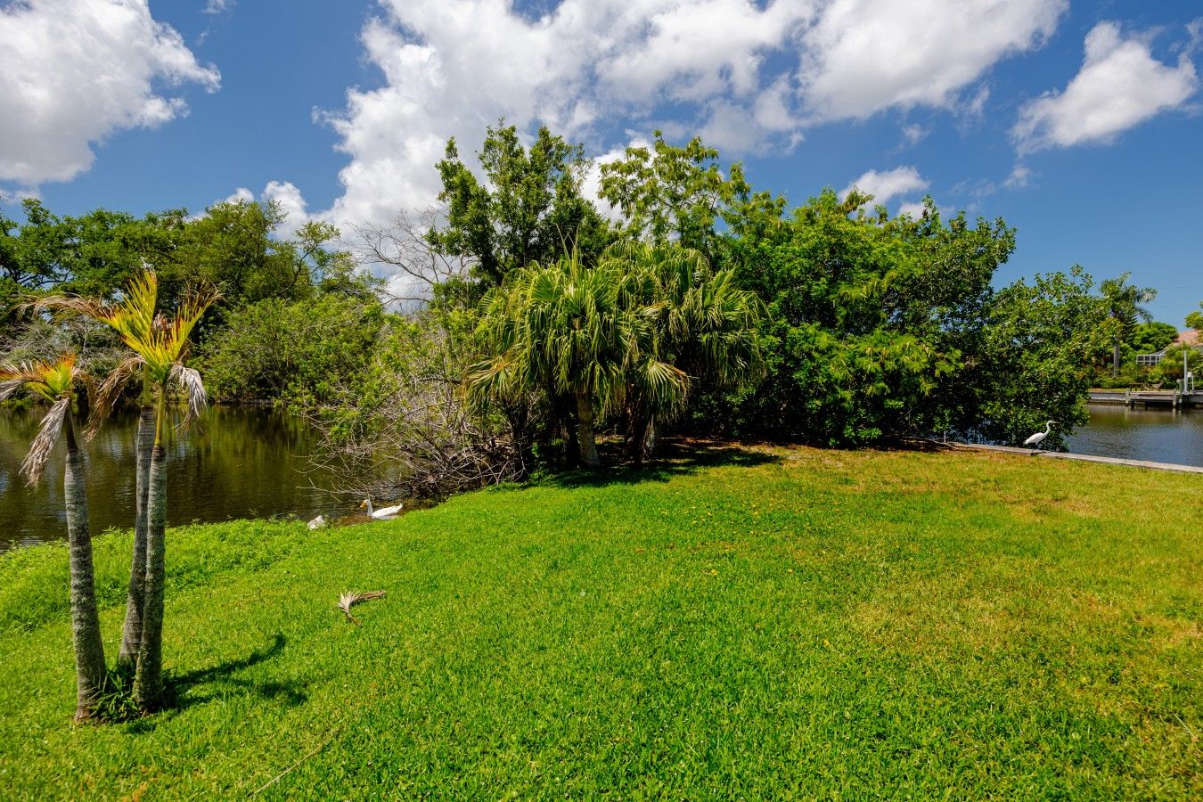 Un área verde con árboles y una masa de agua.