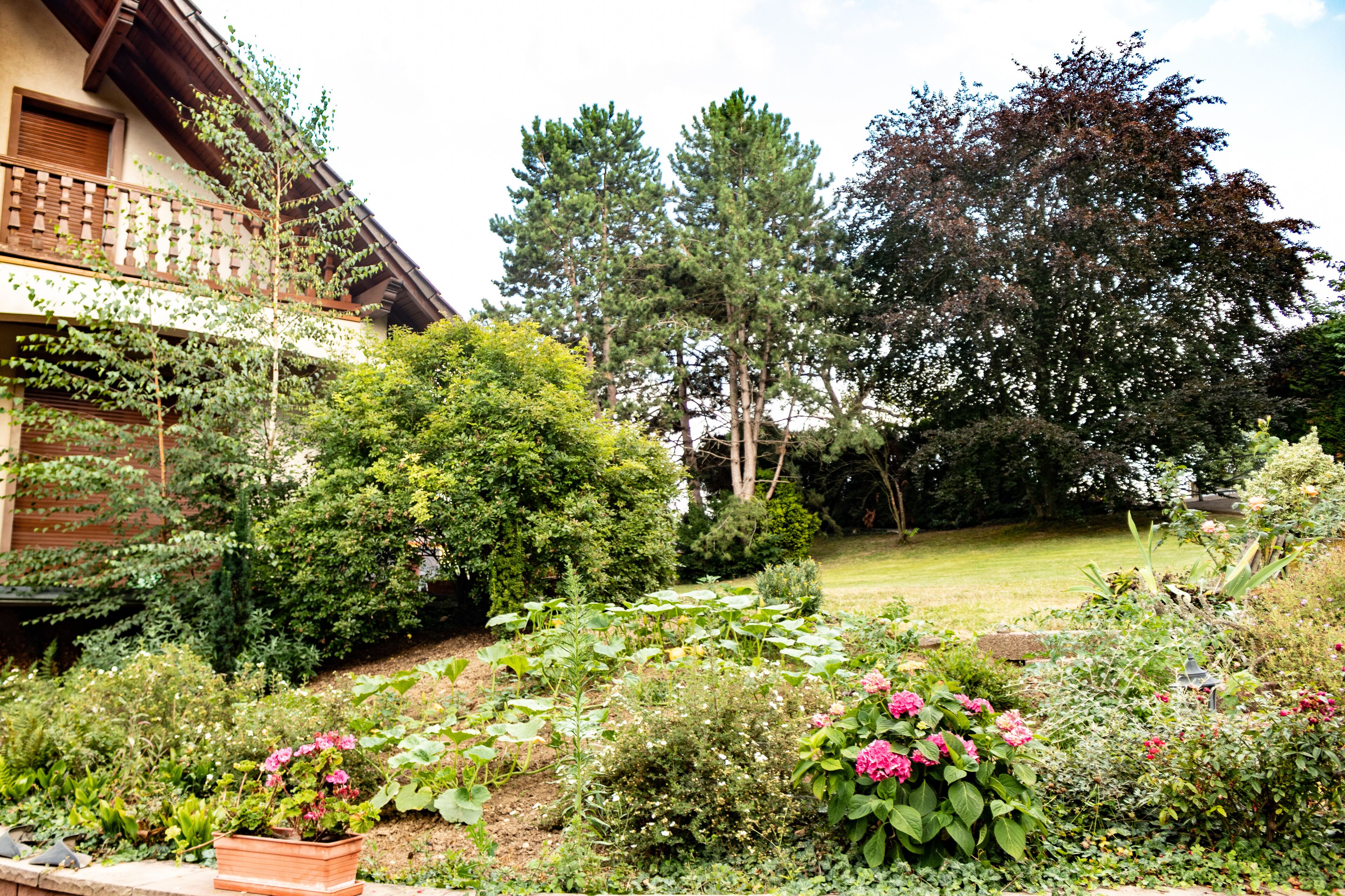 A garden with various plants and flowers, a wooden fence, and a building with a balcony.